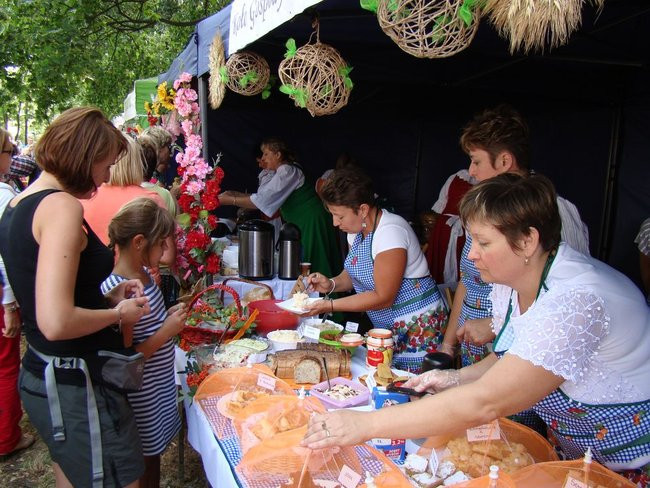 Danie z kurczaka pokonało schabowego i mielone (zdjęcia)