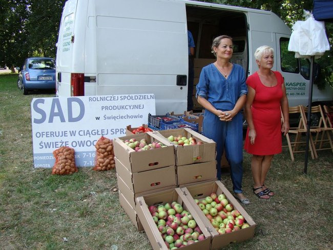 Danie z kurczaka pokonało schabowego i mielone (zdjęcia)