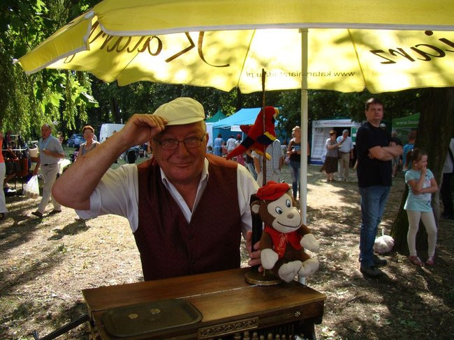 Danie z kurczaka pokonało schabowego i mielone (zdjęcia)