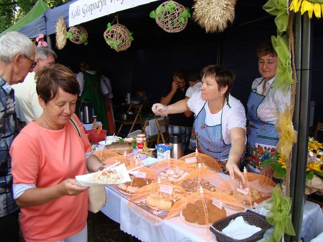 Danie z kurczaka pokonało schabowego i mielone (zdjęcia)