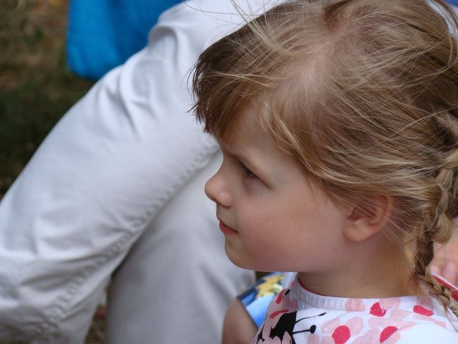 Danie z kurczaka pokonało schabowego i mielone (zdjęcia)