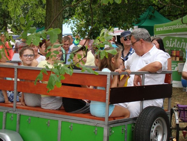 Danie z kurczaka pokonało schabowego i mielone (zdjęcia)