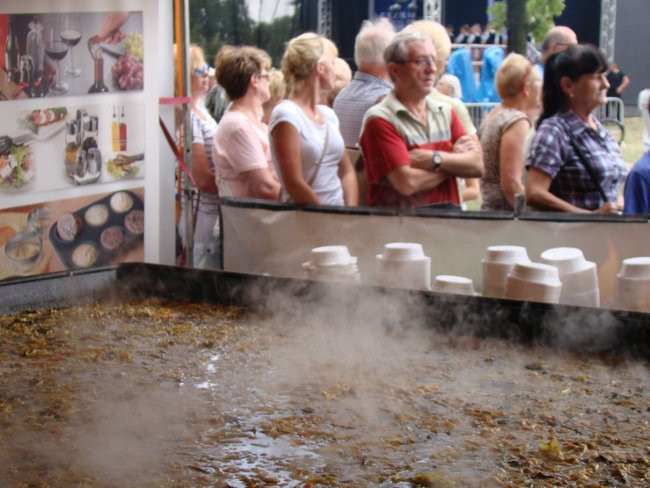 Danie z kurczaka pokonało schabowego i mielone (zdjęcia)