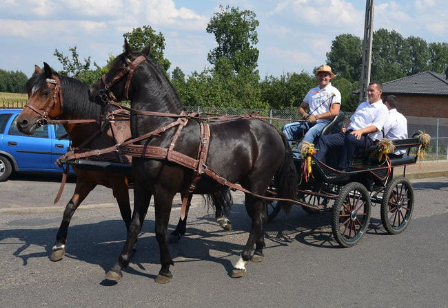 W Jeziorkach częstowano chlebem (zdjęcia)