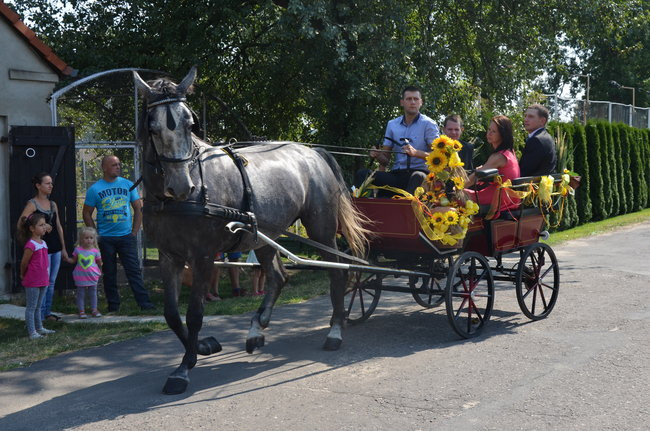 W Jeziorkach częstowano chlebem (zdjęcia)