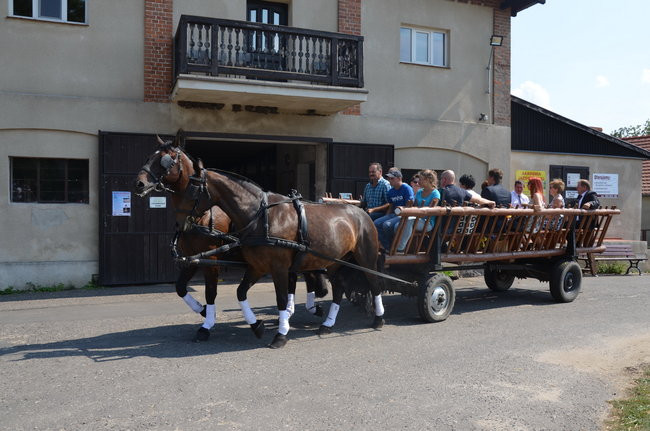 W Jeziorkach częstowano chlebem (zdjęcia)