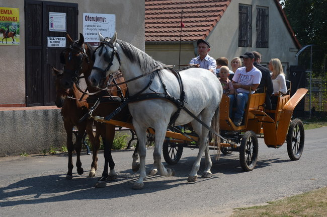 W Jeziorkach częstowano chlebem (zdjęcia)
