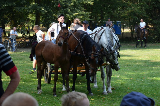 W Jeziorkach częstowano chlebem (zdjęcia)