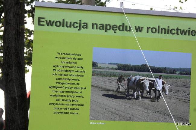 Grand Prix dla Ursusa C45 (zdjęcia)