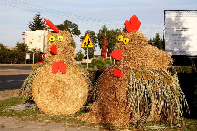 Dożynkowe dekoracje z balotów słomy (kilka zdjęć)
