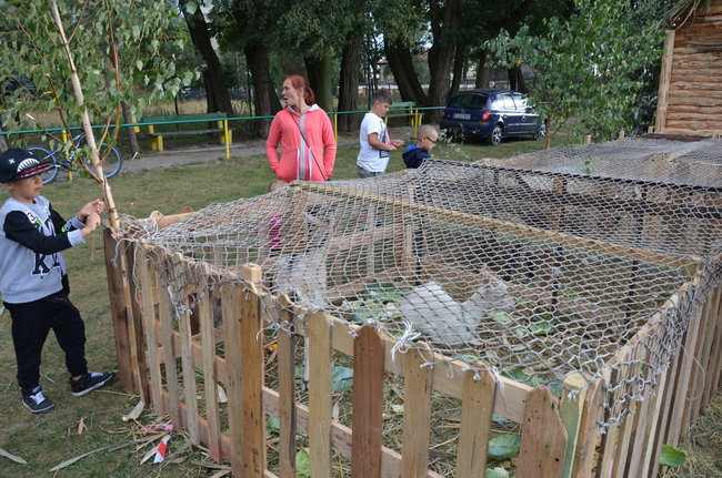 Częstowali i bawili w klimacie dawnej wsi (zdjęcia)