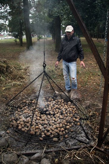 Święto Pieczonego Ziemniaka pod znakiem deszczu (dźwięk i zdjęcia)