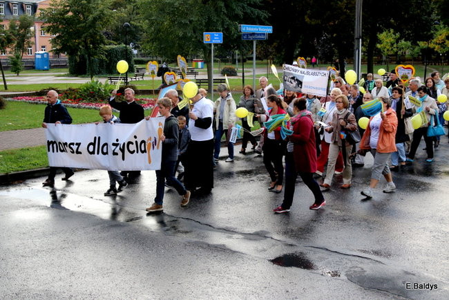 Bądź przyjacielem życia (zdjęcia)