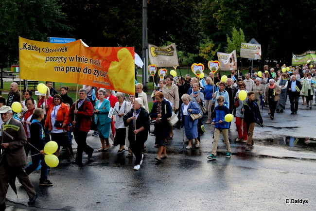 Bądź przyjacielem życia (zdjęcia)