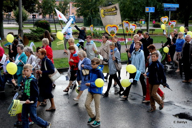 Bądź przyjacielem życia (zdjęcia)