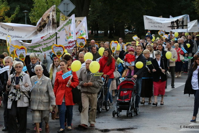 Bądź przyjacielem życia (zdjęcia)
