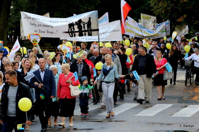 Bądź przyjacielem życia (zdjęcia)