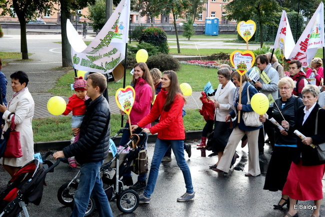 Bądź przyjacielem życia (zdjęcia)