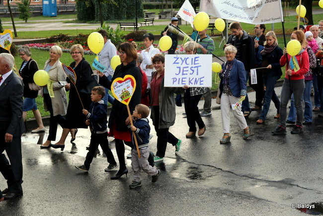 Bądź przyjacielem życia (zdjęcia)