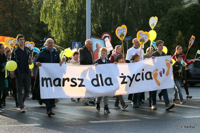 Bądź przyjacielem życia (zdjęcia)