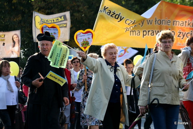 Bądź przyjacielem życia (zdjęcia)
