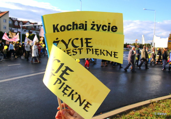 Bądź przyjacielem życia (zdjęcia)