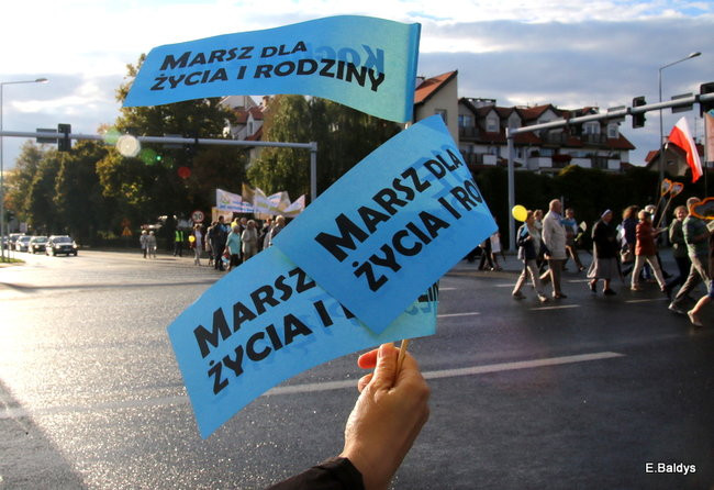 Bądź przyjacielem życia (zdjęcia)