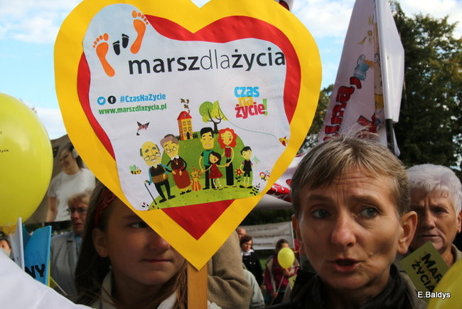 Bądź przyjacielem życia (zdjęcia)