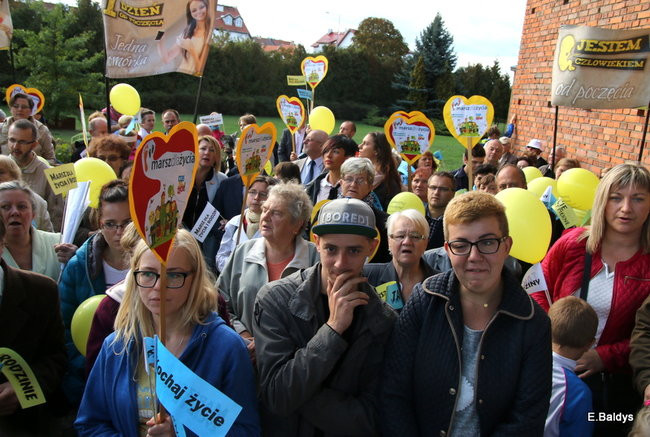 Bądź przyjacielem życia (zdjęcia)