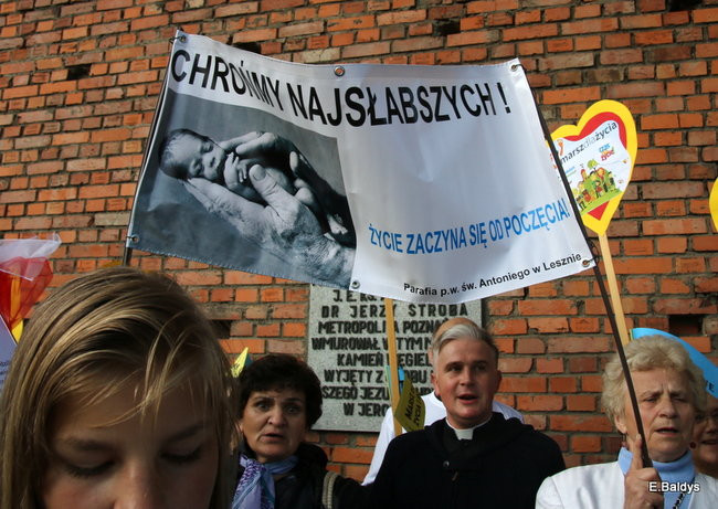 Bądź przyjacielem życia (zdjęcia)