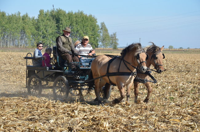Sezon hubertusowy rozpoczęty (zdjęcia)