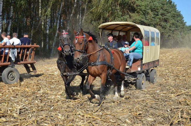 Sezon hubertusowy rozpoczęty (zdjęcia)