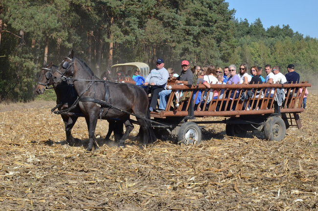 Sezon hubertusowy rozpoczęty (zdjęcia)