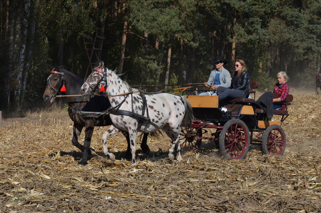 Sezon hubertusowy rozpoczęty (zdjęcia)