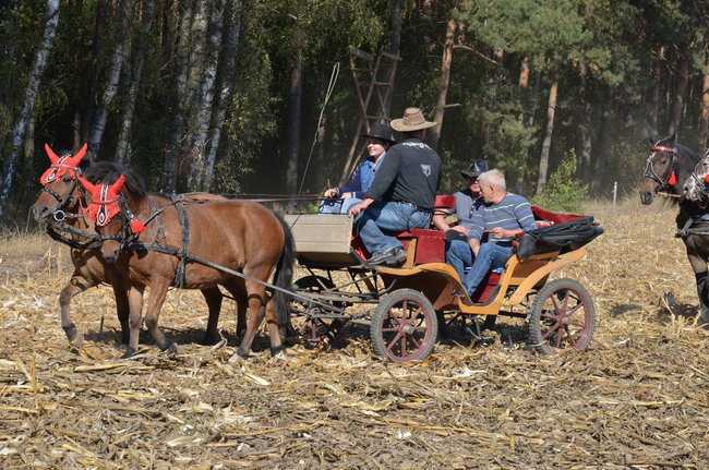 Sezon hubertusowy rozpoczęty (zdjęcia)