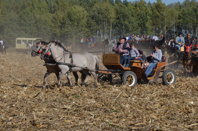 Sezon hubertusowy rozpoczęty (zdjęcia)