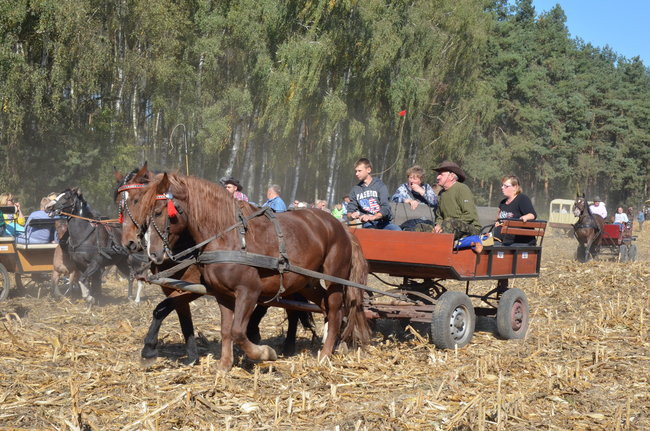 Sezon hubertusowy rozpoczęty (zdjęcia)