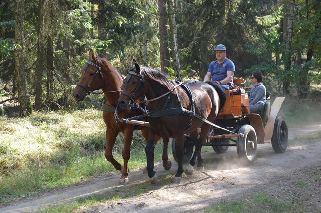 Sezon hubertusowy rozpoczęty (zdjęcia)