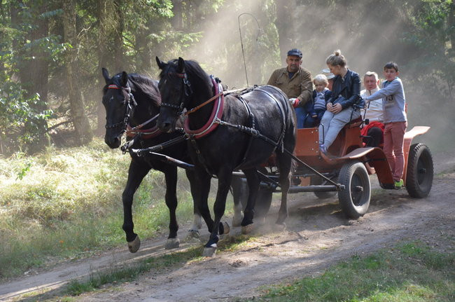 Sezon hubertusowy rozpoczęty (zdjęcia)