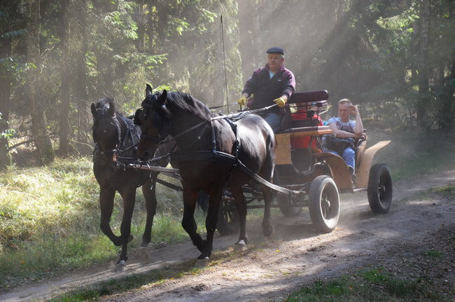 Sezon hubertusowy rozpoczęty (zdjęcia)