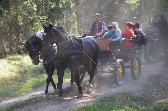 Sezon hubertusowy rozpoczęty (zdjęcia)