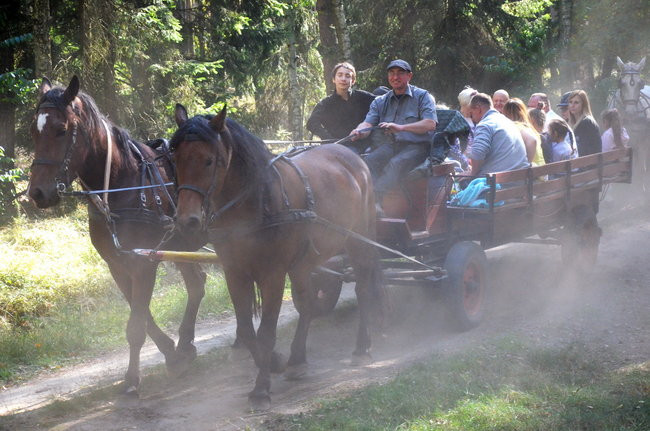 Sezon hubertusowy rozpoczęty (zdjęcia)