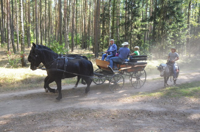 Sezon hubertusowy rozpoczęty (zdjęcia)