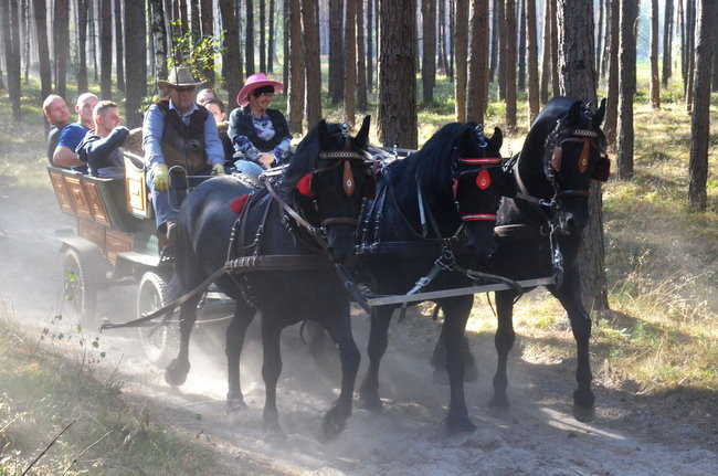 Sezon hubertusowy rozpoczęty (zdjęcia)