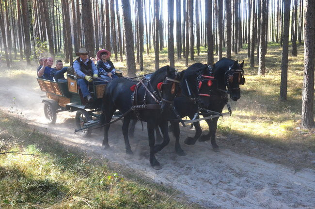 Sezon hubertusowy rozpoczęty (zdjęcia)