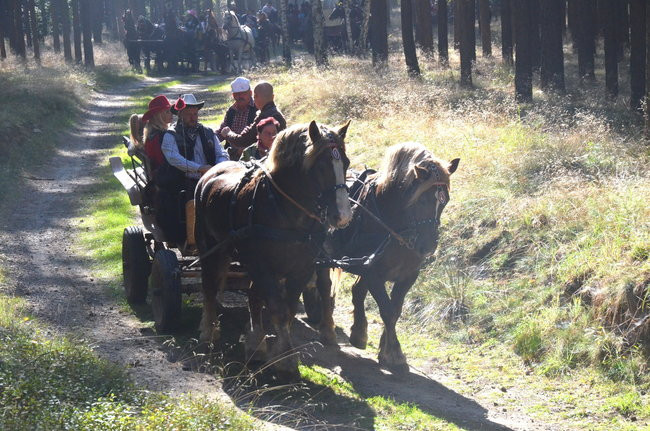Sezon hubertusowy rozpoczęty (zdjęcia)