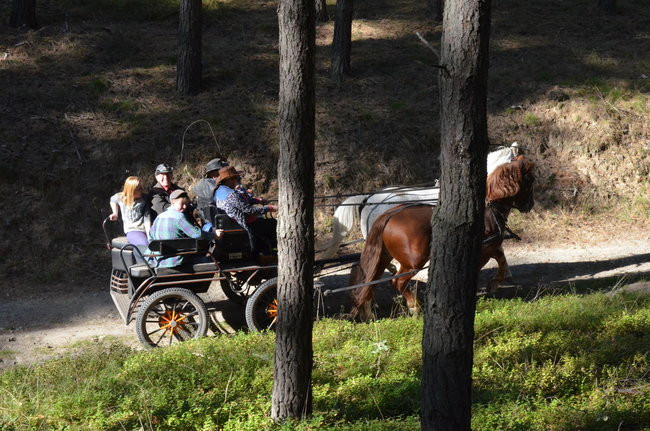 Sezon hubertusowy rozpoczęty (zdjęcia)