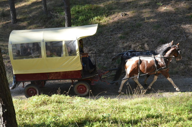 Sezon hubertusowy rozpoczęty (zdjęcia)