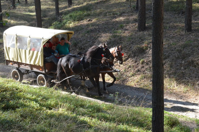 Sezon hubertusowy rozpoczęty (zdjęcia)