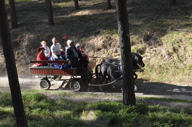 Sezon hubertusowy rozpoczęty (zdjęcia)